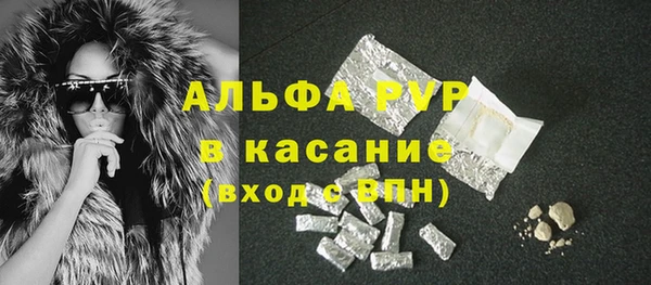 PSILOCYBIN Михайлов